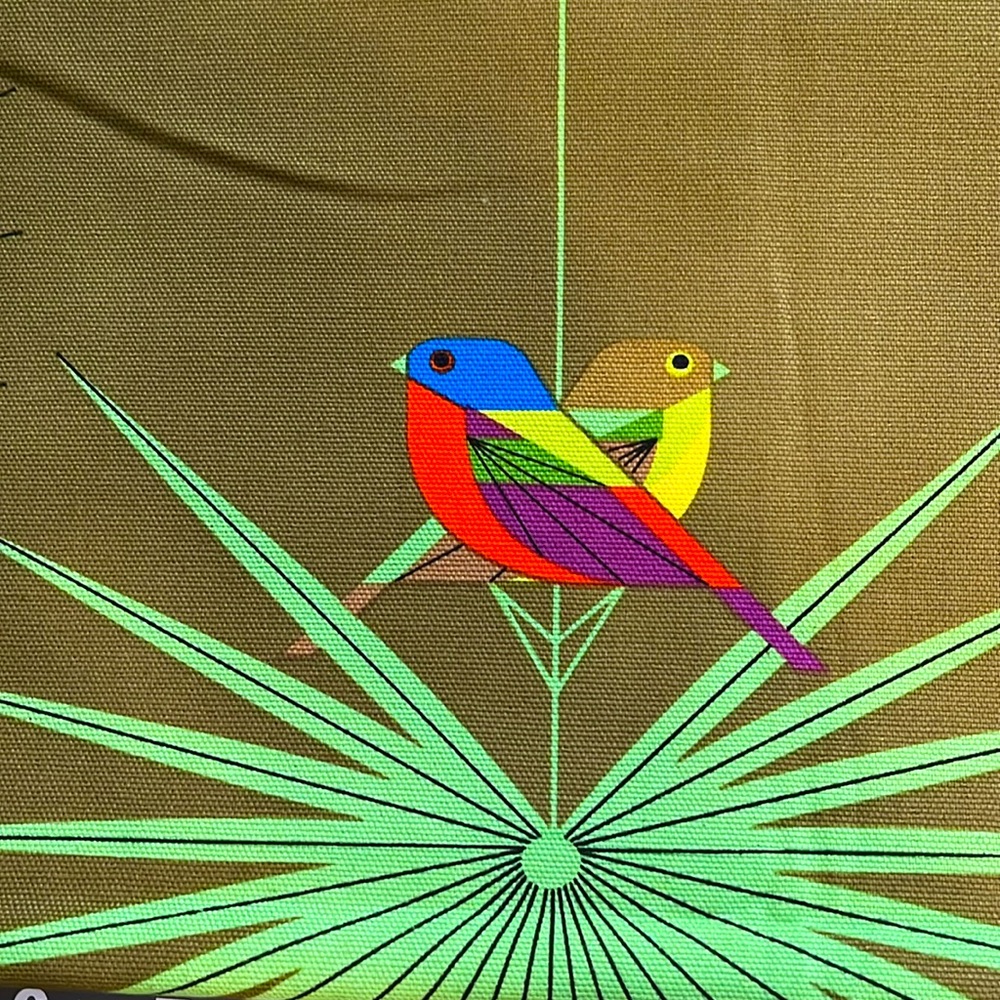 Canvas Fabric, 3 yds x 45", Charley Harper Flamboyant Feathers, Organic Cotton